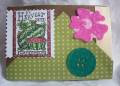 2011/03/29/Watermelon_seed_packet_and_green_button_by_Crafty_Julia.jpg