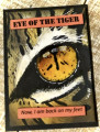 Tiger_eye_