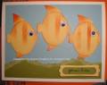 2011/10/06/DH_Get_Well_Fishes_by_diane617.jpg