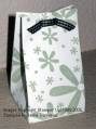 2005/11/20/Wheeled_Cardstock_Gift_Bag_Small_C_by_stampin_usa.JPG