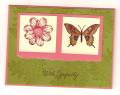 2006/07/14/Touch_of_nature_card_by_Sibylle.jpg