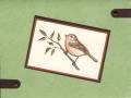 simplebird