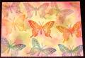 2008/05/02/Touch_of_Nature_-_OSW_Butterfly_by_TeeGeeDee_by_TeeGeeDee.jpg