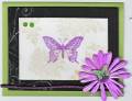 2008/08/24/purple_butterfly_by_Runamok.jpg