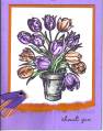 2006/05/18/orange_purple_tulips_copy_by_happystamper05.jpg