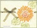 2005/06/13/sunflower_definition.jpg