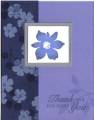 2006/01/15/Blue_blossoms_by_newdemo.jpg