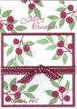 2007/11/16/Pomegranate_Mistletoe_by_theelopers.jpg