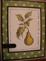 2006/02/27/Pear_of_a_Day_by_docslittleholiday.jpg