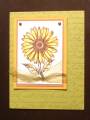 2006/08/12/TAC_Sunflower_Card_by_ShaddyBaby.jpg