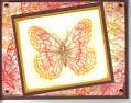 2006/10/31/Butterfly_by_Marcia_Bucher_by_CreativeCardsClub.jpg