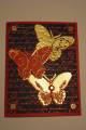 2009/02/07/IC166_-_Red_and_Gold_Butterflies_by_Stamp_Muse.JPG