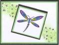 2005/05/28/dragonfly.jpg