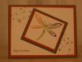 2006/12/13/Bunch_o_bugs_dragonfly_by_dark_chocolate.JPG