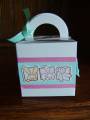 2007/03/08/cube_box_with_handle_aqua_and_pink_with_bunnies_by_Die_Cut_Lady.JPG