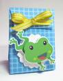 Frog-Gift-