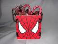 2007/12/17/Spider_Man_Coaster_Box_002_by_dfaust.jpg