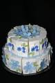 2008/05/10/two-tier_cake_by_forever_amber.JPG
