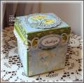 2011/06/01/June_Blog_hop-_tea_tabbed_box_without_the_tab_by_glowbug.jpg