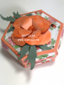 2020/05/10/Hexagon-Treat-Box-nested-die-poppy-flower-fabulous-florasl-prills-Deb-Valder-stampladee-Teaspoon_of_Fun-5_by_djlab.PNG