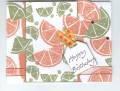 2008/02/03/Citrus_and_Such_by_ND_Stamper.jpg