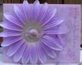2006/07/10/purple_flower_by_Grammyof2boys.JPG