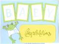 2006/04/08/Unfrogetable_BabyCardFront_by_triciastampinVA.JPG