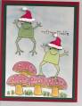 2008/11/02/Xmas_Frogs5_by_bmbfield.jpg