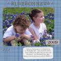 2009/03/23/Bluebonnets_by_Andromina.jpg