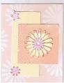 2006/02/07/yellow_coral_spring_flower_by_bobbi_s_stamp_camp.jpg