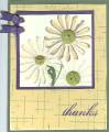 2006/02/22/Looks_like_spring_by_up4stampin2.jpg