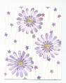 2006/03/17/March_18_2006_2_Dots_Daisies_Looks_Like_Spring_by_Judy_Tulloch.jpg