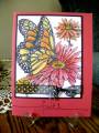 2007/09/06/Northwoods_Butterfly_on_ruby_red_lmr_by_Glittergal.jpg