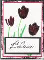 2005/06/21/balck_tulip_card.jpg