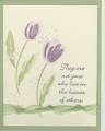 2005/07/04/Terrific_Tulips_Sympathy_Card.jpg