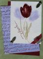 2005/09/21/CC28weatheredtulips_by_luvmystamps3.jpg