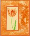 2005/10/20/Bright_Orange_Tulip_by_stampingeorge.jpg
