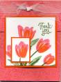 2005/12/10/Terrific_Tulip_Gift_Bag_Cameo_Coral_by_bollie.jpg