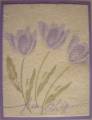2006/01/21/Dryer_Sheet_Tulips_by_sullypup.JPG