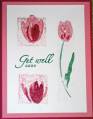 2006/03/09/Get_Well_Rose_Tulips_edited_by_price138.jpg