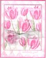 2006/07/10/my_terrific_tulips_in_pink_by_scrappy121.jpg