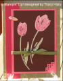 2006/08/21/TLC78_tulips_by_LodiChick.png