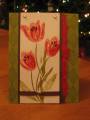2006/12/08/red_tulips_by_megala3178.jpg