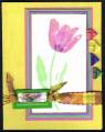 2007/03/08/LSC106_Terrific_Tulips_wereids_by_wereids.jpg