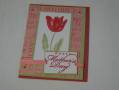 2007/05/04/sc121_mothers_tulips_by_acewoman.JPG