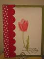 2007/06/27/1_tulip_red_by_madebyme.jpg