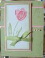 tulipscard