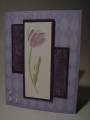 2008/05/22/SC177_Tulips_by_sandy_stamps.jpg