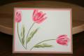 2009/09/07/lncoats_two_tone_tulips_by_lncoats.JPG