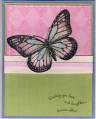 2006/05/04/Icey_Butterfly122_by_sexy_stylist_and_stamper.jpg